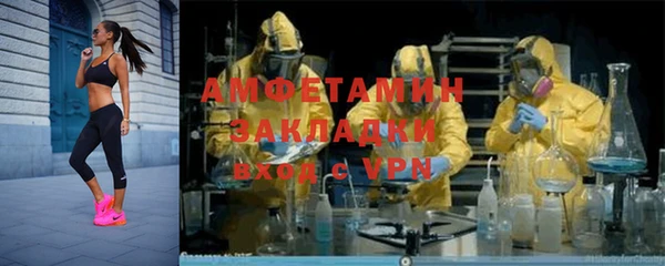 индика Балахна