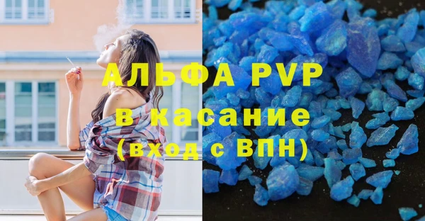 индика Балахна