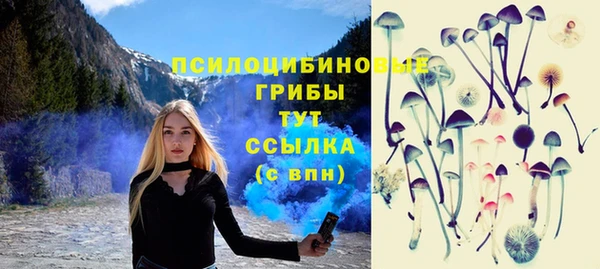индика Балахна