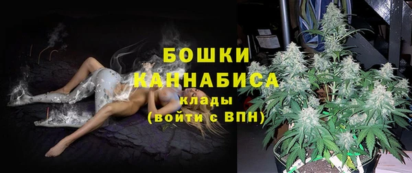 спайс Баксан