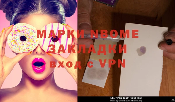 индика Балахна