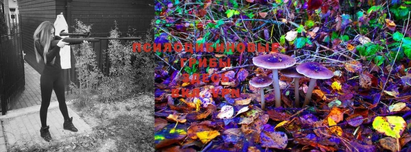 MDMA Балабаново