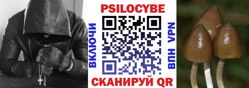 Галлюциногенные грибы мухоморы  блэк спрут как войти  Демидов  где найти наркотики 